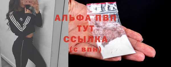 стафф Вязьма