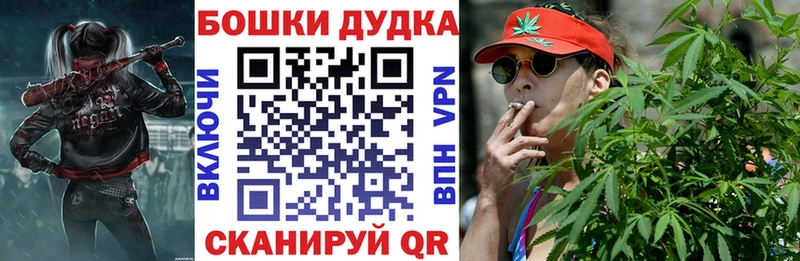 Купить где  Киренск  Конопля план 